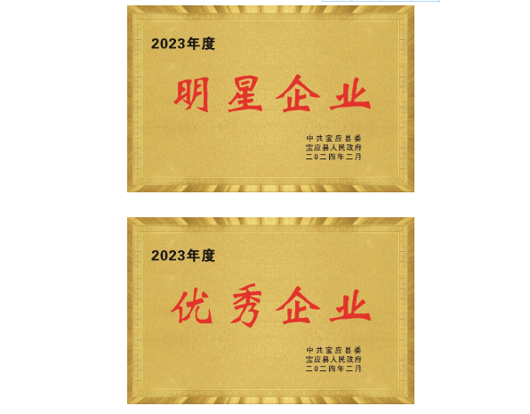 K8凯发国际喜获宝应县两项荣誉表彰