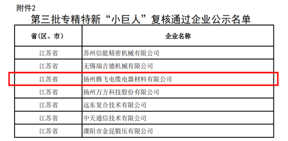 喜讯！扬州K8凯发国际成功通过国家级专精特新“小巨人”企业复核