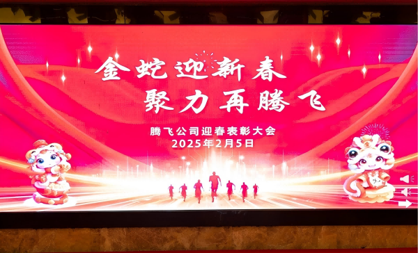K8凯发国际公司召开迎春表彰大会